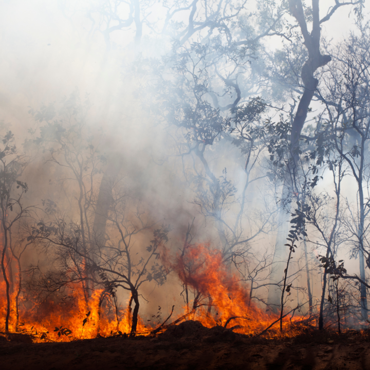 Tips for managing your respiratory condition this Bushfire season